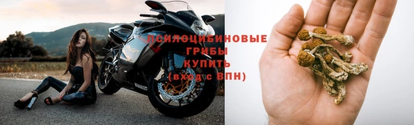 2c-b Алексин