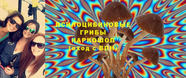 2c-b Алексин