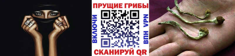 Псилоцибиновые грибы Magic Shrooms blacksprut ONION Орёл